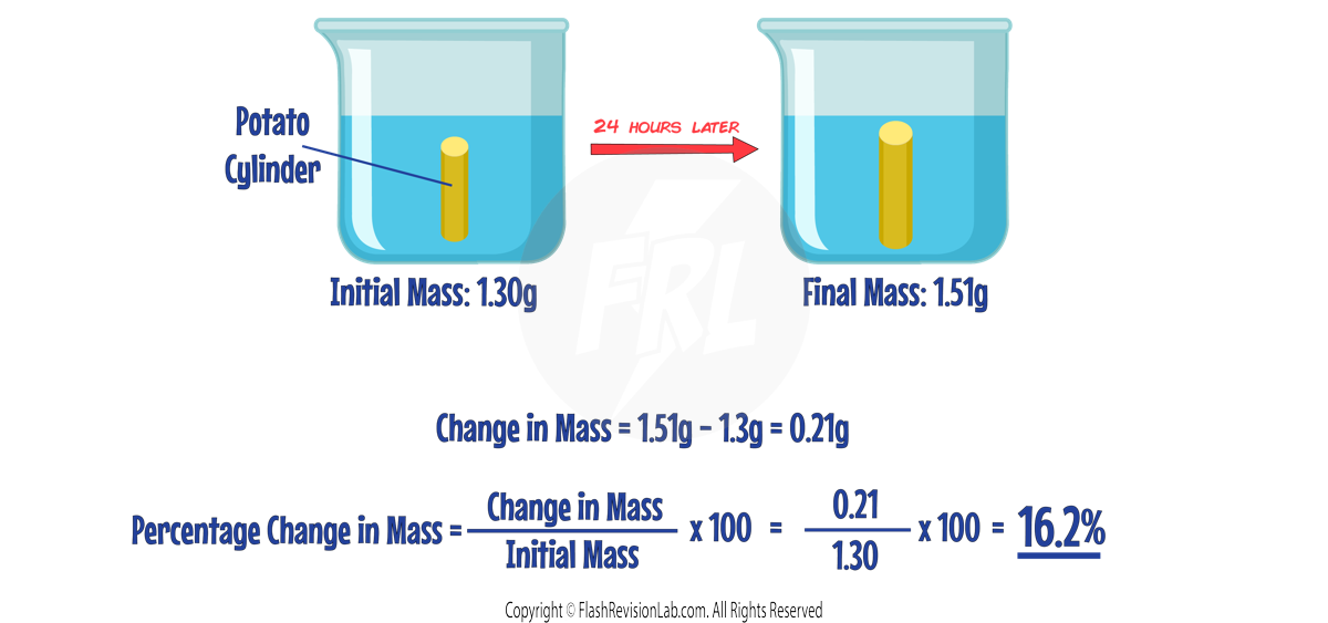 Osmosis Experiment Calculation